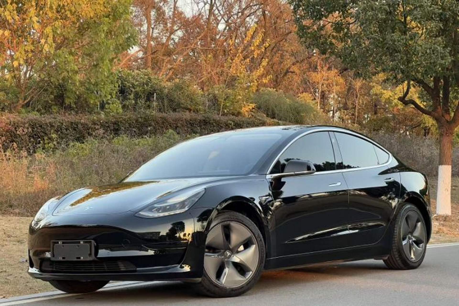 Used Tesla Model 3 2019 Standard Range Rear-Drive Upgraded Version Front Left 45 Deg