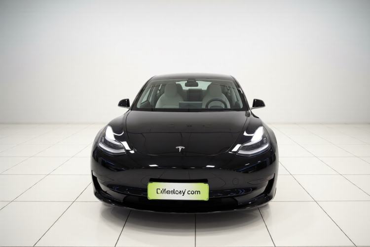 Used Tesla Model 3 2019 Standard Range Rear-Drive Upgraded Version Front