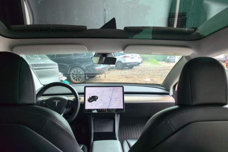 Used Tesla Model 3 2019 Standard Range Rear-Drive Upgraded Version Headliner