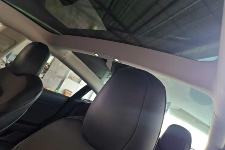 Used Tesla Model 3 2019 Standard Range Rear-Drive Upgraded Version Headliner