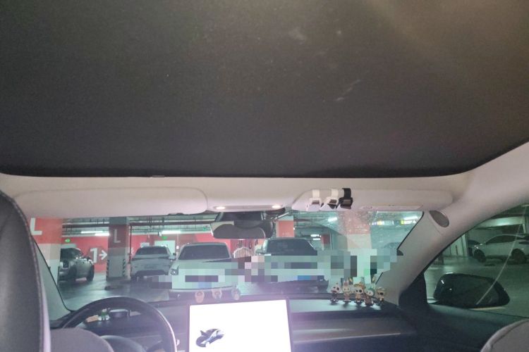 Used Tesla Model 3 2019 Performance High-Performance All-Wheel-Drive Version Headliner