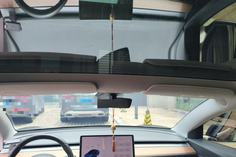 Used Tesla Model 3 2019 Standard Range Rear-Drive Upgraded Version Headliner