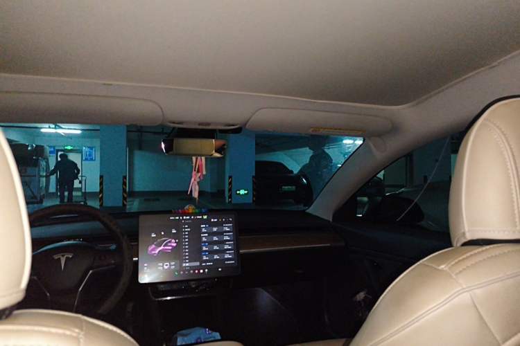 Used Tesla Model 3 2019 Long-Range Rear-Wheel-Drive Version Headliner