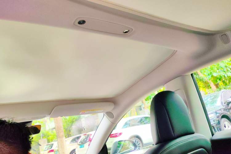 Used Tesla Model 3 2019 Long-Range Rear-Wheel-Drive Version Headliner