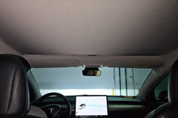 Used Tesla Model 3 2019 Long-Range Rear-Wheel-Drive Version Headliner
