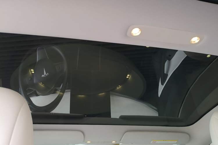 Used Tesla Model 3 2019 Long-Range All-Wheel-Drive Version Headliner