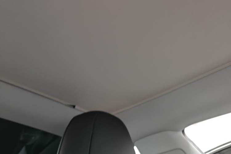 Used Tesla Model 3 2019 Standard Range Rear-Drive Upgraded Version Headliner