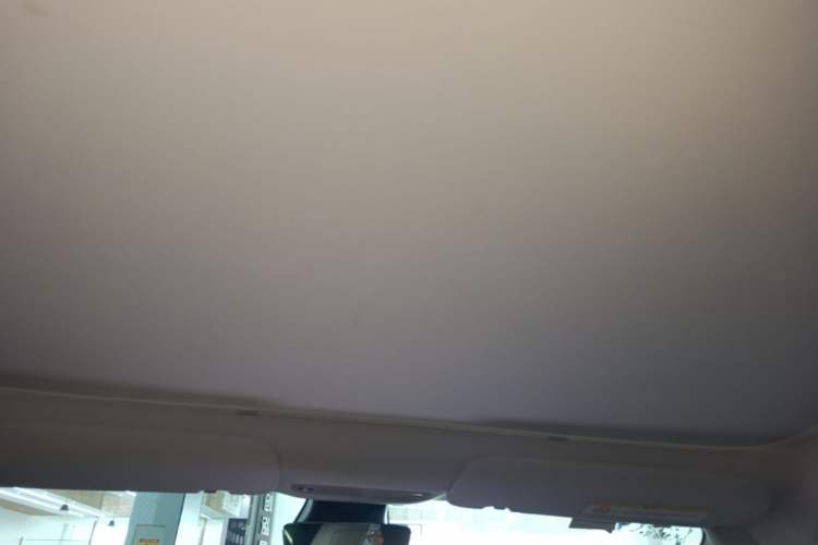 Used Tesla Model 3 2019 Long-Range Rear-Wheel-Drive Version Headliner