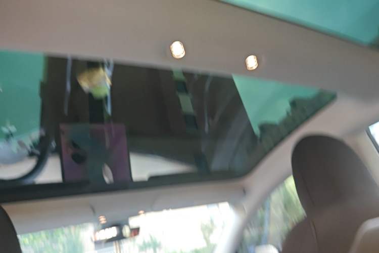 Used Tesla Model 3 2019 Long-Range All-Wheel-Drive Version Headliner