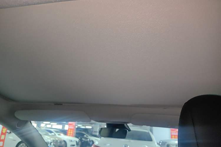 Used Tesla Model 3 2019 Standard Range Rear-Drive Upgraded Version Headliner