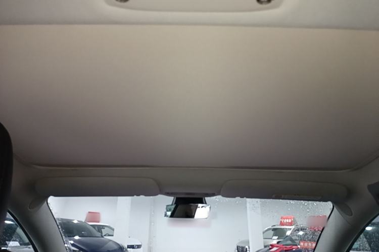 Used Tesla Model 3 2019 Long-Range All-Wheel-Drive Version Headliner