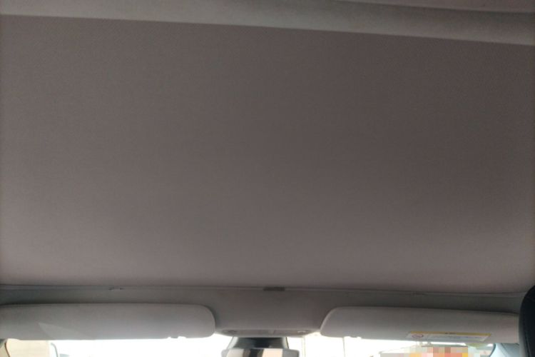 Used Tesla Model 3 2019 Long-Range Rear-Wheel-Drive Version Headliner