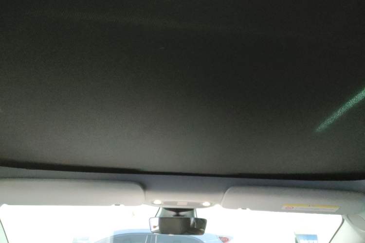 Used Tesla Model 3 2019 Standard Range Rear-Drive Upgraded Version Headliner