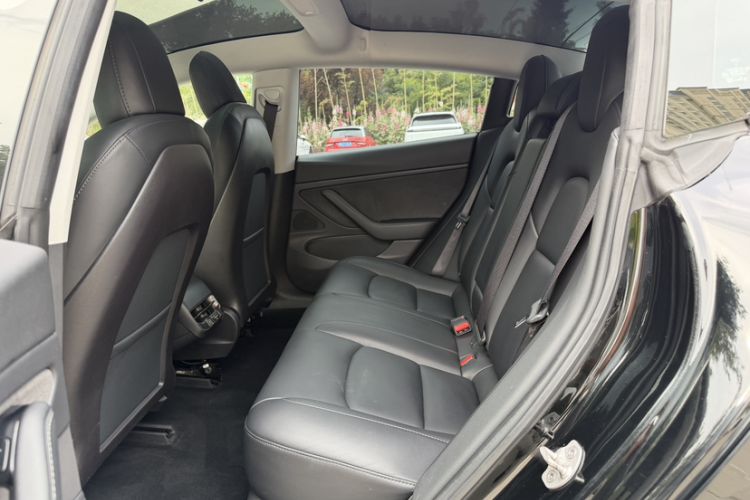 Used Tesla Model 3 2019 Long-Range Rear-Wheel-Drive Version Interior 2