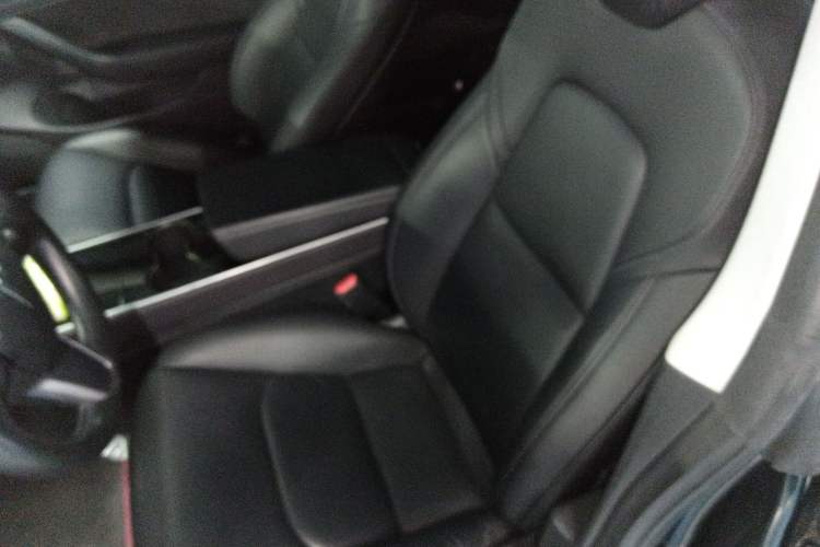 Used Tesla Model 3 2019 Long-Range All-Wheel-Drive Version Left Front Seat