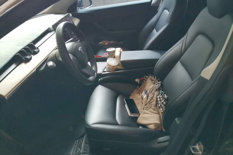 Used Tesla Model 3 2019 Standard Range Rear-Drive Upgraded Version Left Front Seat