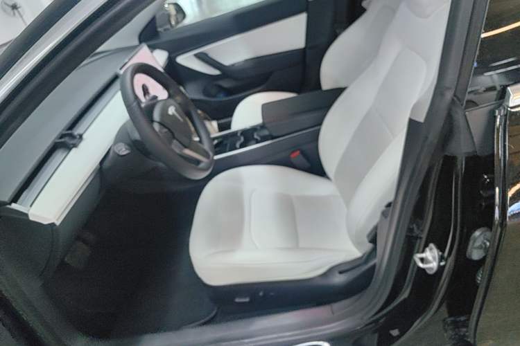 Used Tesla Model 3 2019 Long-Range All-Wheel-Drive Version Left Front Seat