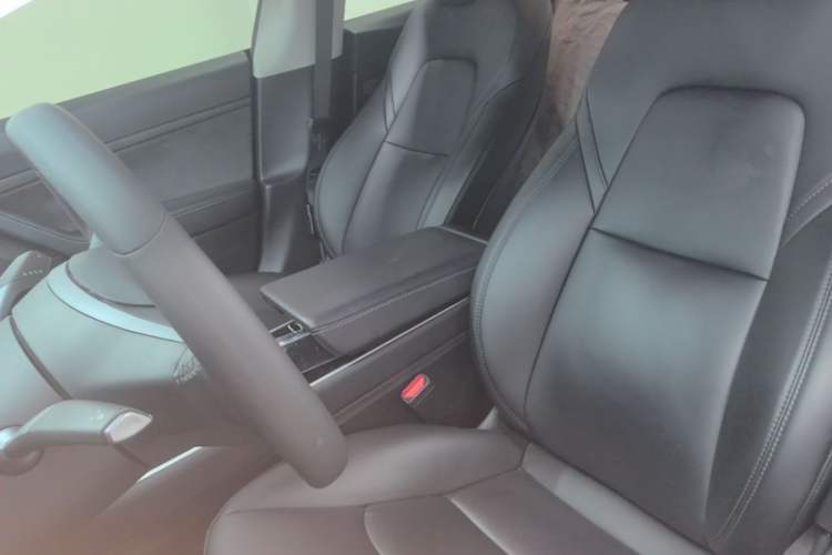 Used Tesla Model 3 2019 Standard Range Rear-Drive Upgraded Version Left Front Seat