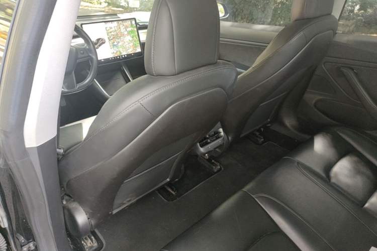 Used Tesla Model 3 2019 Long-Range Rear-Wheel-Drive Version Left Front Seat