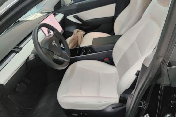 Used Tesla Model 3 2019 Long-Range All-Wheel-Drive Version Left Front Seat