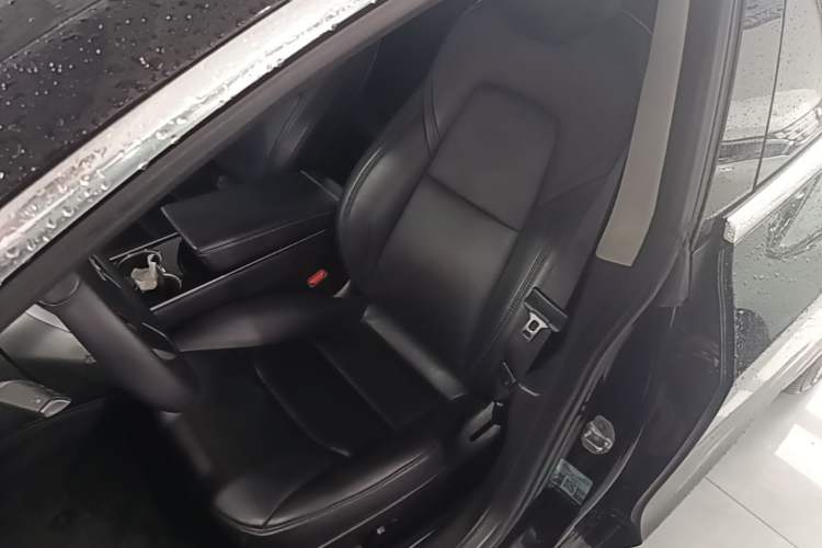 Used Tesla Model 3 2019 Long-Range All-Wheel-Drive Version Left Front Seat