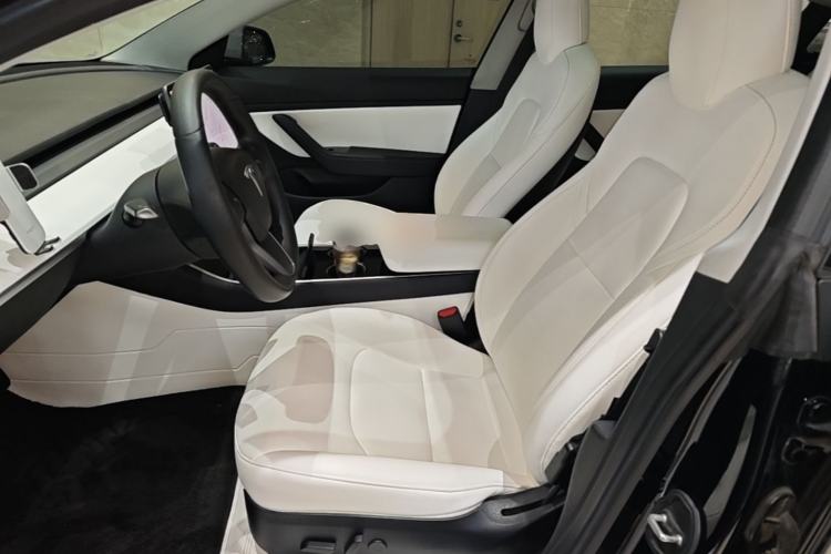 Used Tesla Model 3 2019 Long-Range All-Wheel-Drive Version Left Front Seat