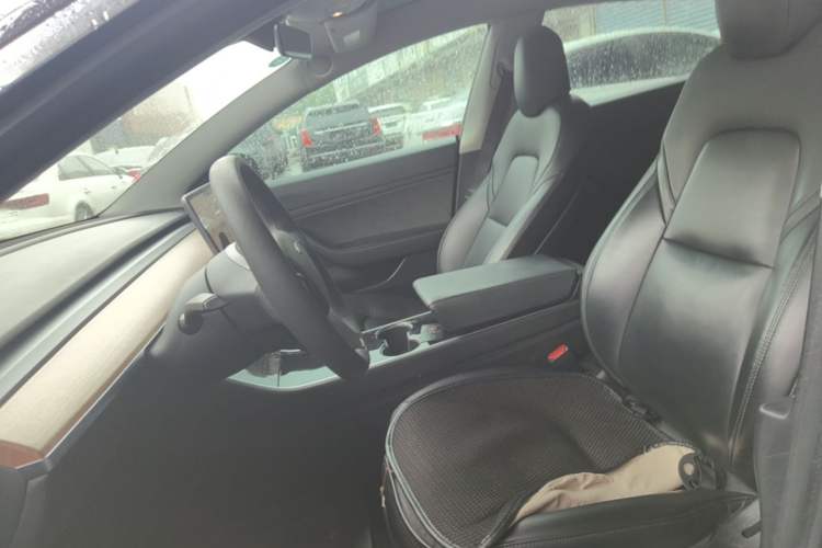 Used Tesla Model 3 2019 Standard Range Rear-Drive Upgraded Version Left Front Seat