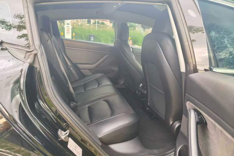 Used Tesla Model 3 2019 Performance High-Performance All-Wheel-Drive Version Left Rear Seat