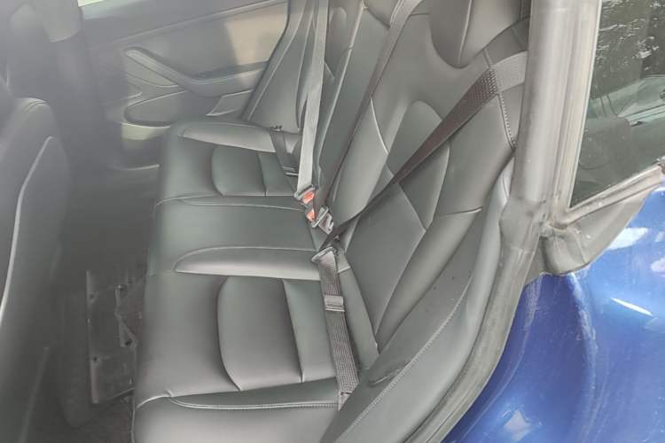Used Tesla Model 3 2019 Standard Range Rear-Drive Upgraded Version Left Rear Seat