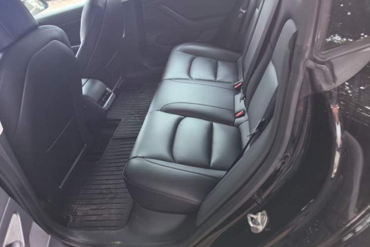 Used Tesla Model 3 2019 Standard Range Rear-Drive Upgraded Version Left Rear Seat