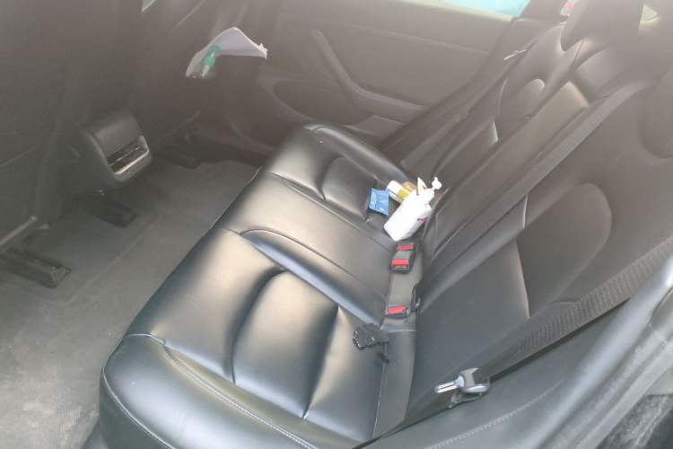 Used Tesla Model 3 2019 Standard Range Rear-Drive Upgraded Version Left Rear Seat