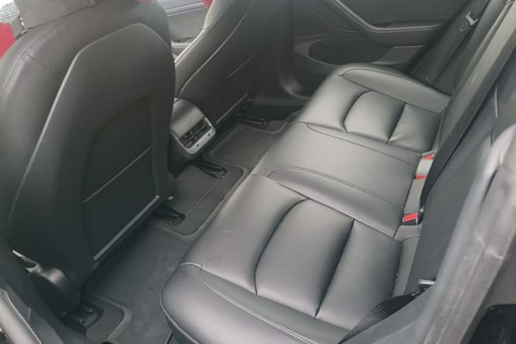 Used Tesla Model 3 2019 Standard Range Rear-Drive Upgraded Version Left Rear Seat