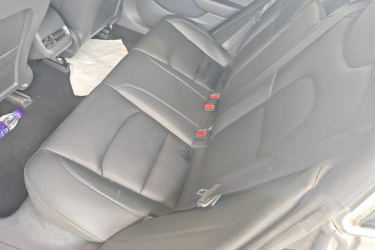 Used Tesla Model 3 2019 Standard Range Rear-Drive Upgraded Version Left Rear Seat