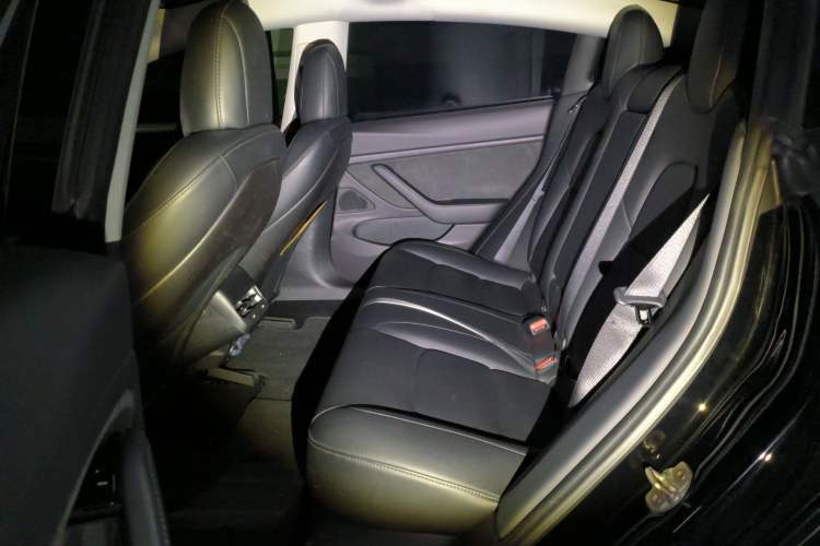 Used Tesla Model 3 2019 Long-Range Rear-Wheel-Drive Version Left Rear Seat