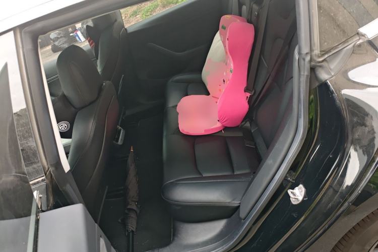 Used Tesla Model 3 2019 Long-Range Rear-Wheel-Drive Version Left Rear Seat