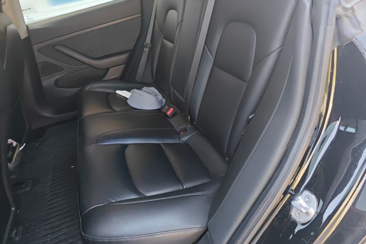 Used Tesla Model 3 2019 Standard Range Rear-Drive Upgraded Version Left Rear Seat