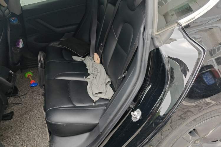 Used Tesla Model 3 2019 Standard Range Rear-Drive Upgraded Version Left Rear Seat