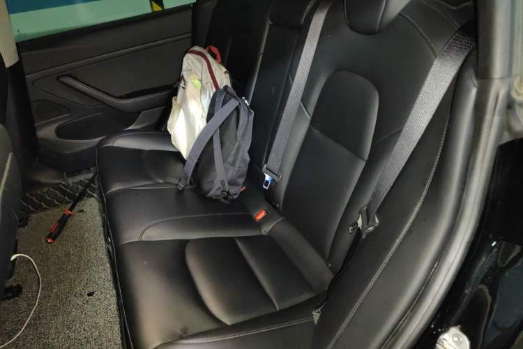 Used Tesla Model 3 2019 Standard Range Rear-Drive Upgraded Version Left Rear Seat