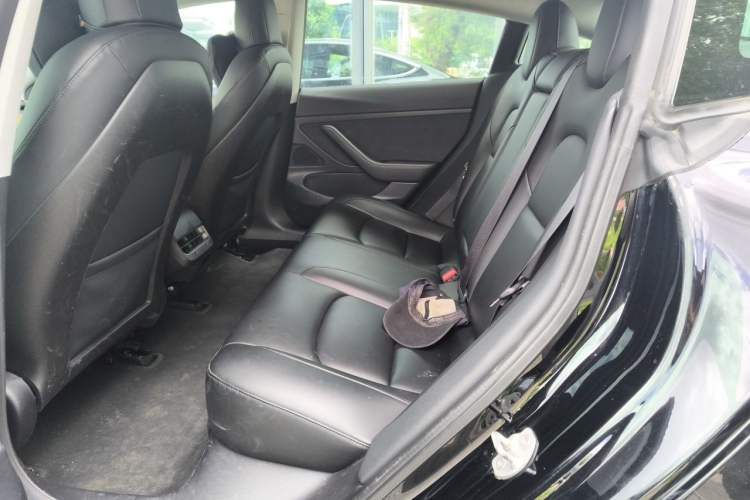 Used Tesla Model 3 2019 Standard Range Rear-Drive Upgraded Version Left Rear Seat