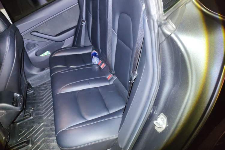 Used Tesla Model 3 2019 Standard Range Rear-Wheel Drive Upgraded Version (60 kWh) Left Rear Seat