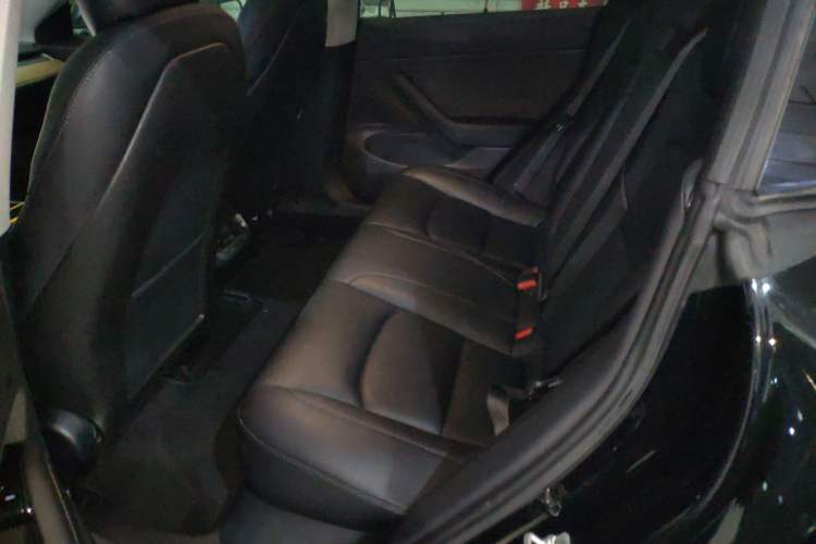 Used Tesla Model 3 2019 Long-Range All-Wheel-Drive Version Left Rear Seat