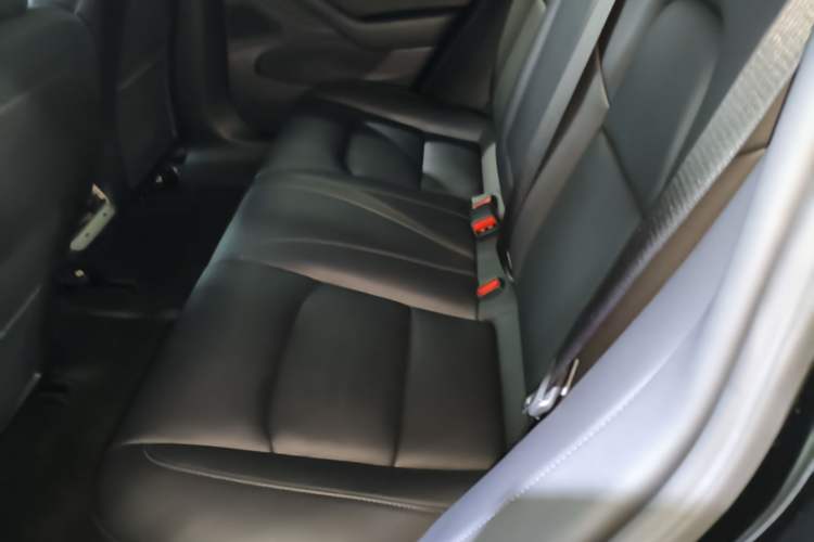 Used Tesla Model 3 2019 Long-Range All-Wheel-Drive Version Left Rear Seat