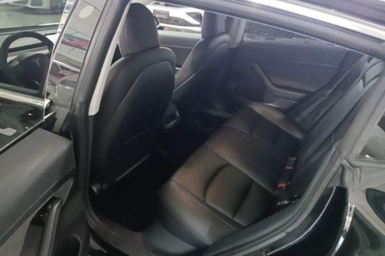 Used Tesla Model 3 2019 Standard Range Rear-Drive Upgraded Version Left Rear Seat