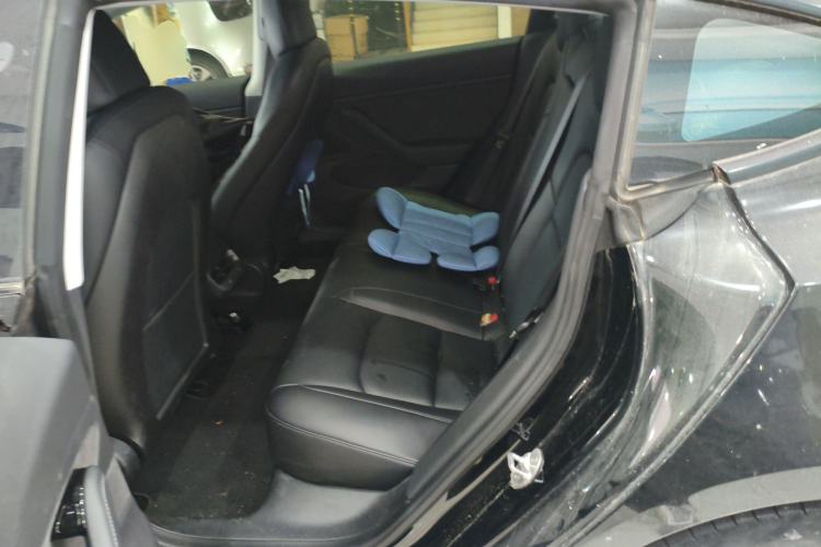 Used Tesla Model 3 2019 Performance High-Performance All-Wheel-Drive Version Left Rear Seat