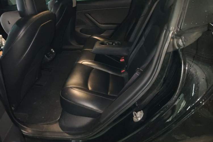 Used Tesla Model 3 2019 Long-Range Rear-Wheel-Drive Version Left Rear Seat