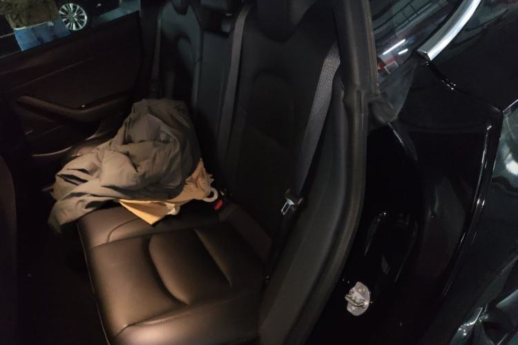 Used Tesla Model 3 2019 Standard Range Rear-Drive Upgraded Version Left Rear Seat