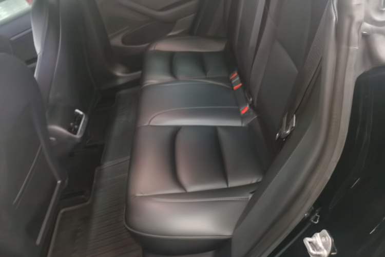 Used Tesla Model 3 2019 Standard Range Rear-Drive Upgraded Version Left Rear Seat