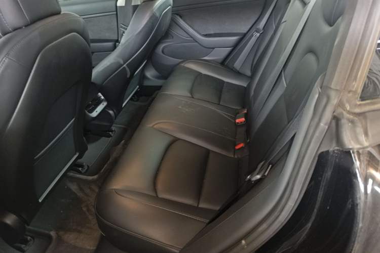 Used Tesla Model 3 2019 Long-Range All-Wheel-Drive Version Left Rear Seat