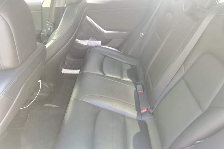 Used Tesla Model 3 2019 Long-Range Rear-Wheel-Drive Version Left Rear Seat