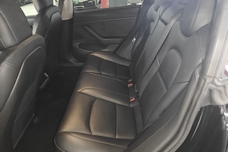 Used Tesla Model 3 2019 Long-Range Rear-Wheel-Drive Version Left Rear Seat